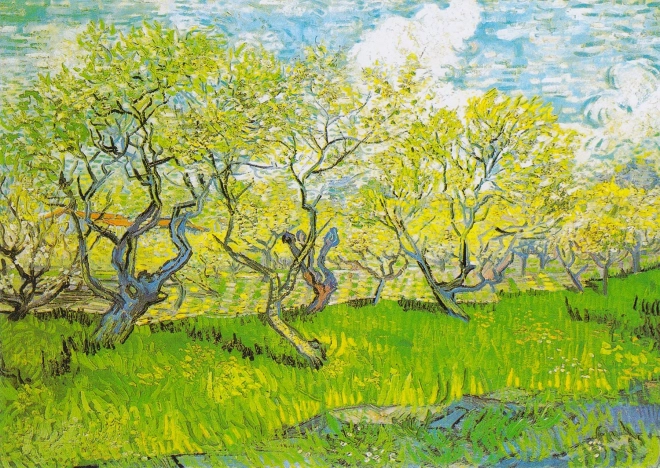 Enjoy Puzzle Vincent Van Gogh: Kvitnúca záhrada 1000 dielikov