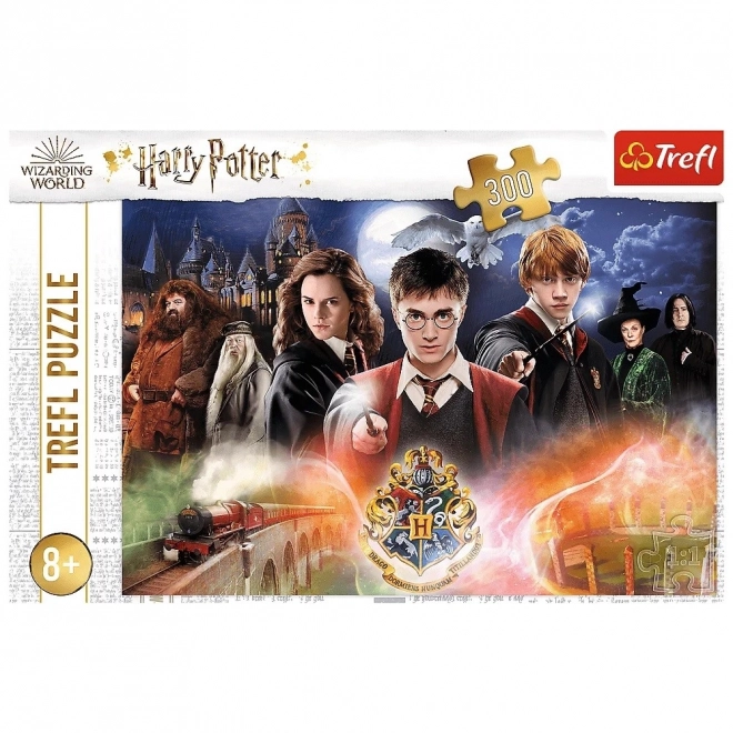Tajomný Harry Potter Puzzle