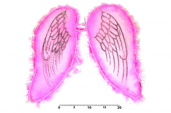 Ružové krídla anjela/víly