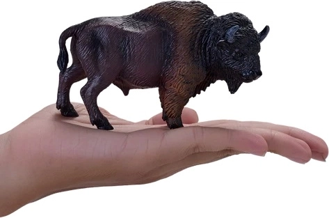 Vzdelávacia hodnota
