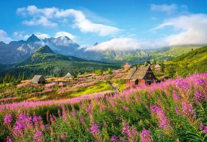 Puzzle Dolina Gąsienicowa, Tatry 1000 dielikov