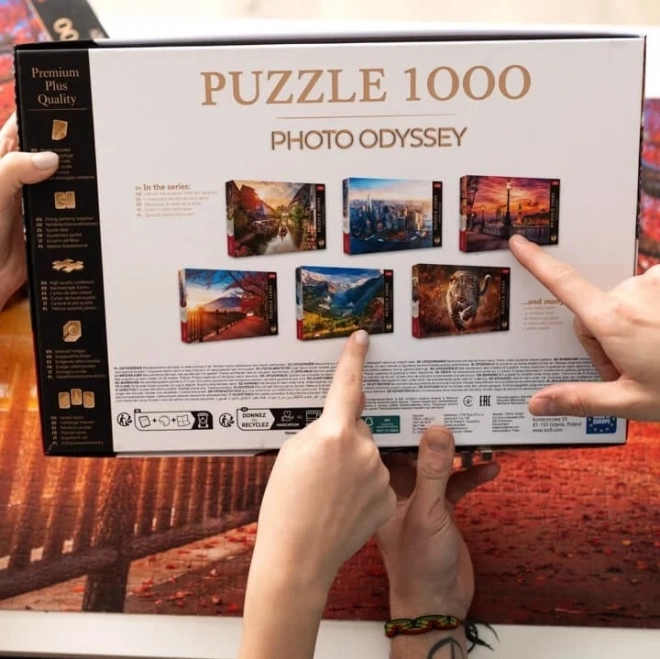 Puzzle 1000 dielikov Premium Plus Eiffelova veža Paríž Francúzsko