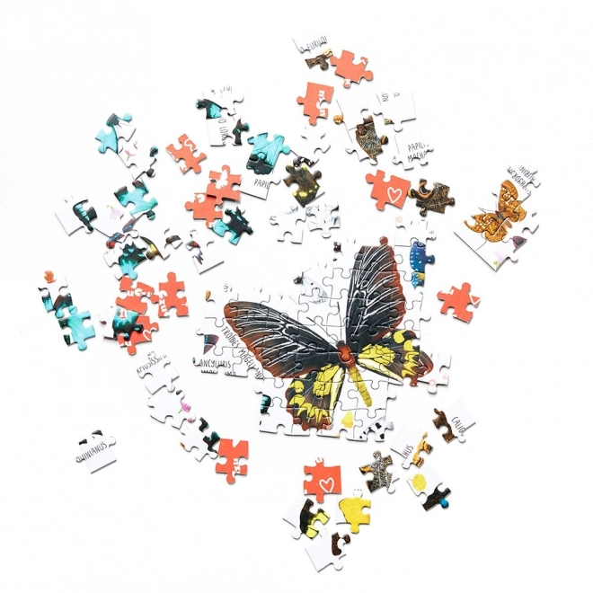 Puzzle Puzzlove Motýle 1000 dielov