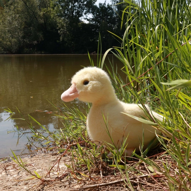 Plyšová Kačka Eco-friendly