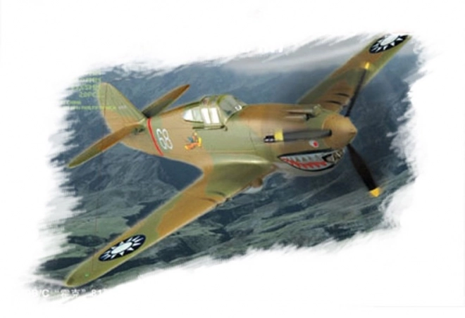 Model P-40 Hawk