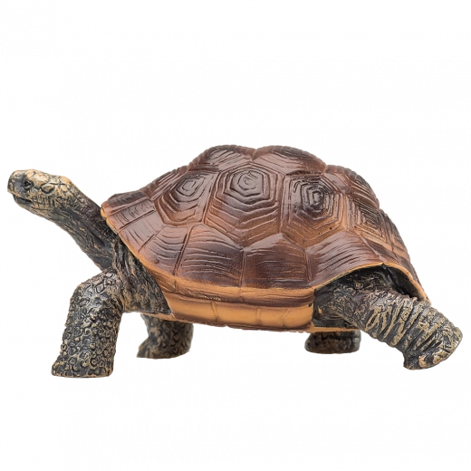 Odolný a nezávadný plast