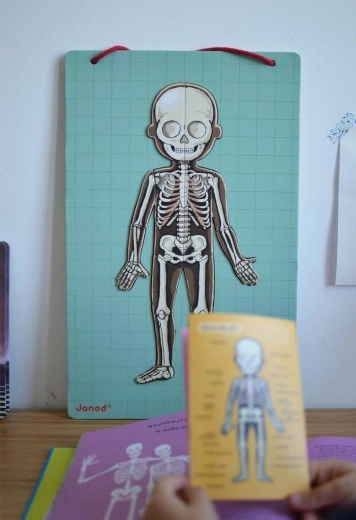 Názorné spoznávanie ľudského tela