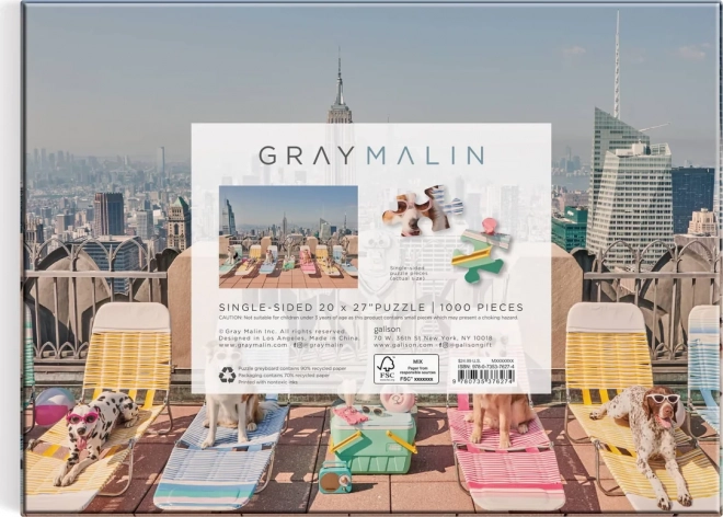 Puzzle Gray Malin: Psi New Yorku 1000 dielikov