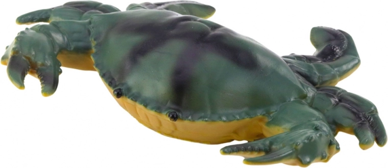 Realistické farby a rôzne druhy morských zvierat