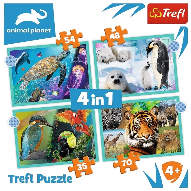 Trefl puzzle Animal Planet: Záhadný svet zvierat 4v1