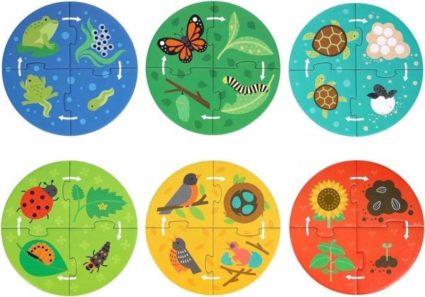Petit Collage Puzzle Objaviteľov Kolobeh Života