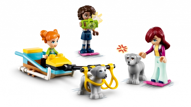 LEGO Friends Dobrodružstvo v iglu