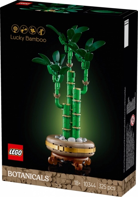 Dekoratívna rastlina LEGO Botanicals Dracena Sander