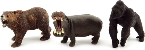 Pestrý mix druhov v praktickom boxe