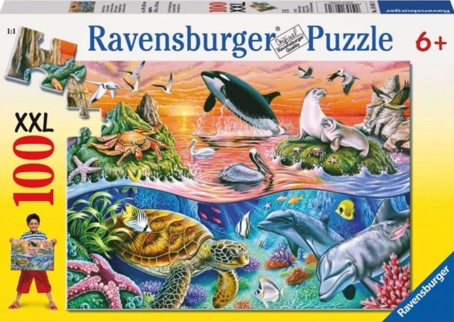 Ravensburger puzzle nádherný oceán XXL 100 dielikov