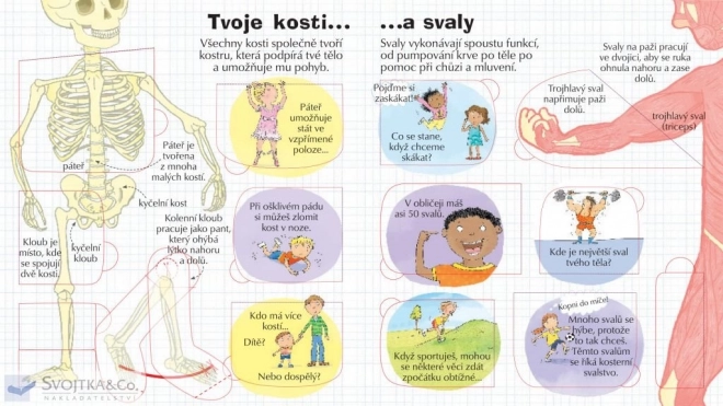 Pozri sa do svojho tela