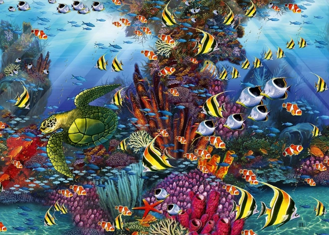 Puzzle Korálový útes zblízka 1500 dielikov