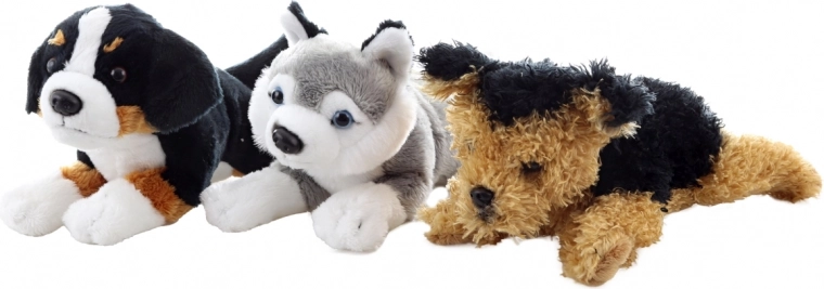 Bezpečný od narodenia (0+)