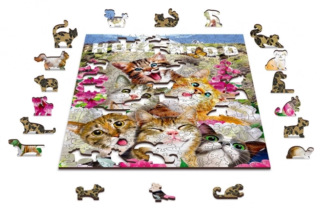 Drevené puzzle Koťata v Hollywoode 2v1