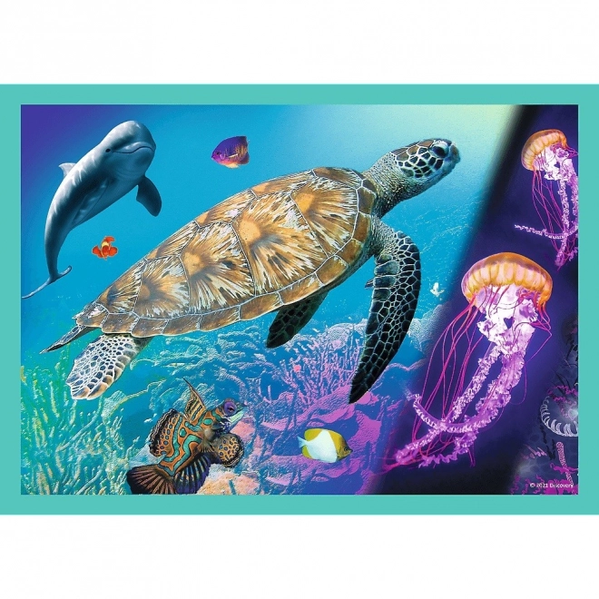 Trefl puzzle Animal Planet: Záhadný svet zvierat 4v1