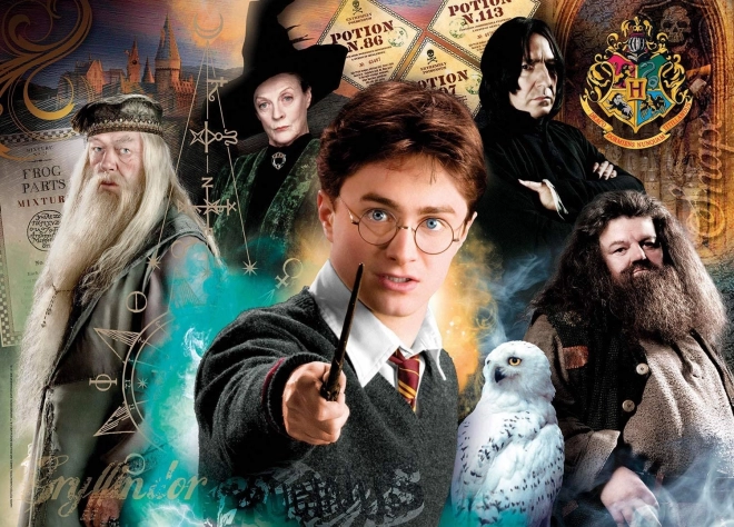 Puzzle Harry Potter 500 dielikov od Clementoni