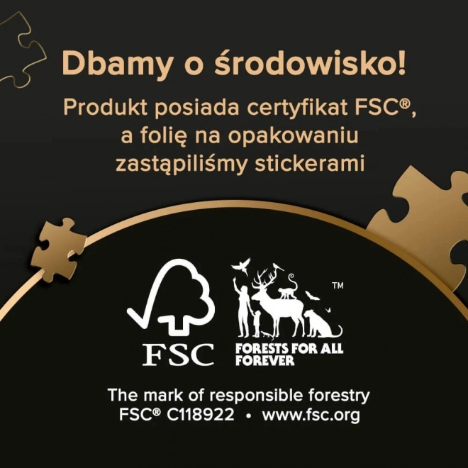 Puzzle Trefl 1000 dielikov - Premium Plus - Foto Odyssea - Hora Fuji, Japonsko