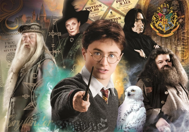 puzzle 1000 dielikov compact harry potter clementoni