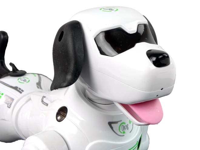 Interaktívny robotický psík na diaľkové ovládanie