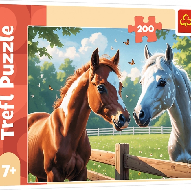 TREFL Puzzle Kone na lúke 200 dielikov