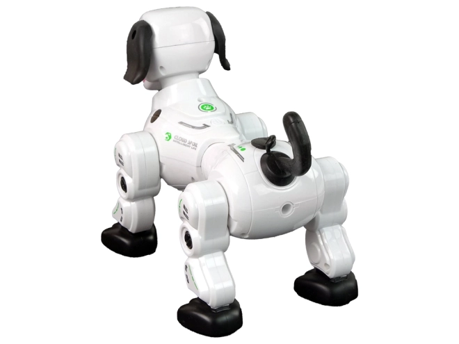 Interaktívny robotický psík na diaľkové ovládanie