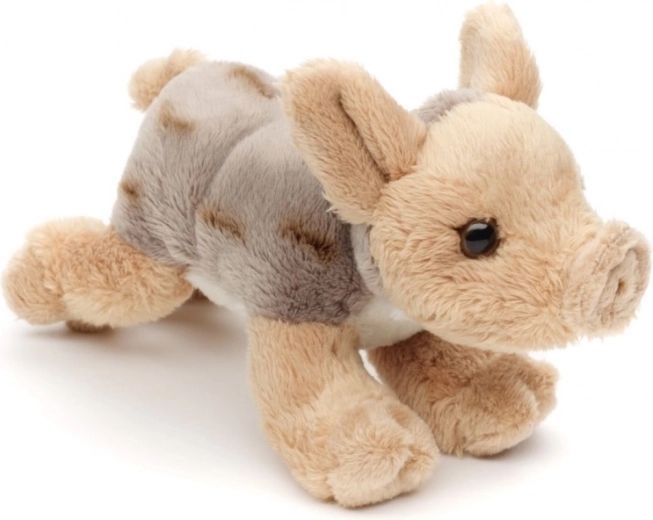 Ľahké a ideálne na cesty