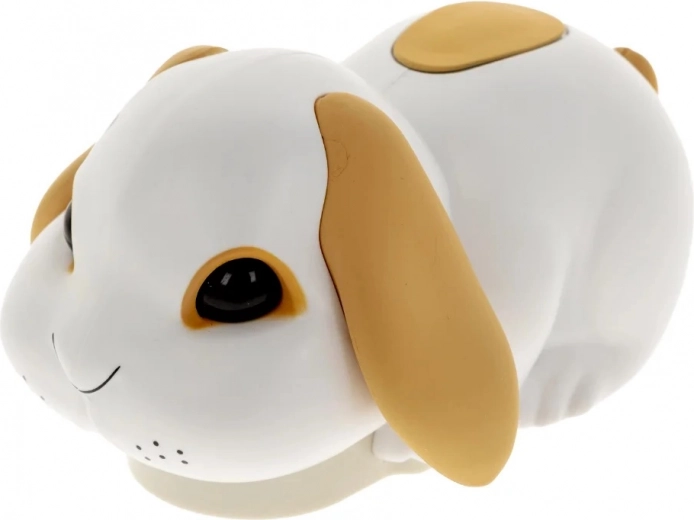 Neposedný zajačik, ktorý rozprúdi zábavu