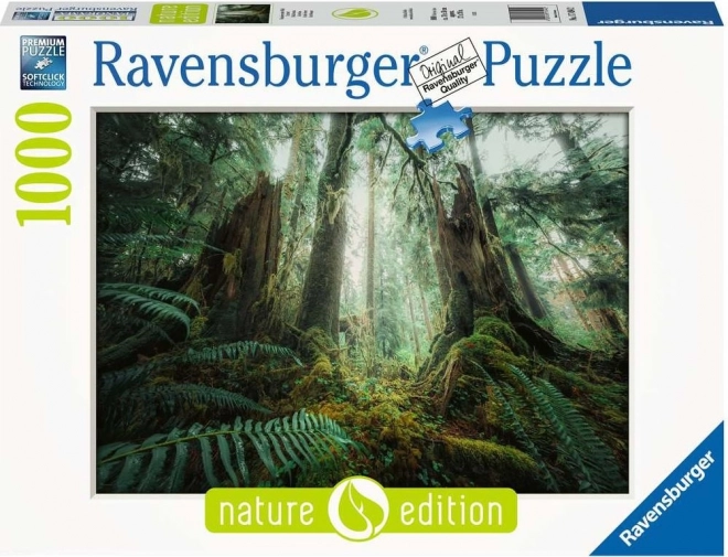 Puzzle V lese 1000 dielikov