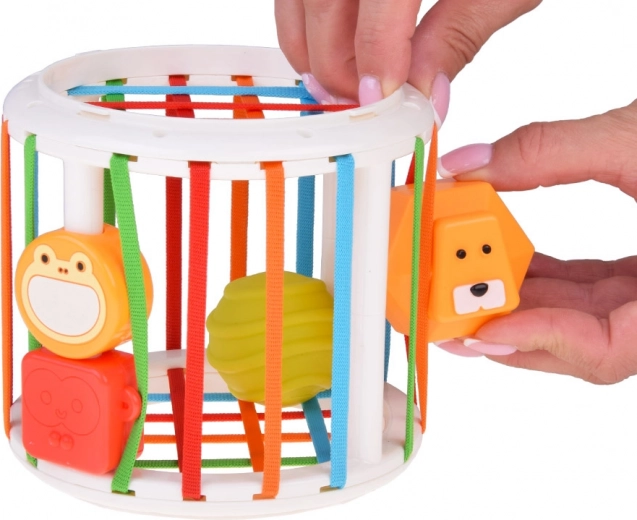 Šikovný sorter s pružnými pásikmi