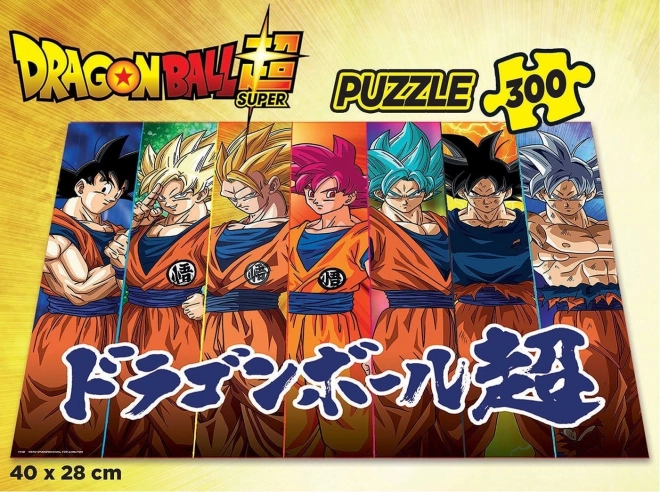 Puzzle Dragon Ball Super 300 dielikov