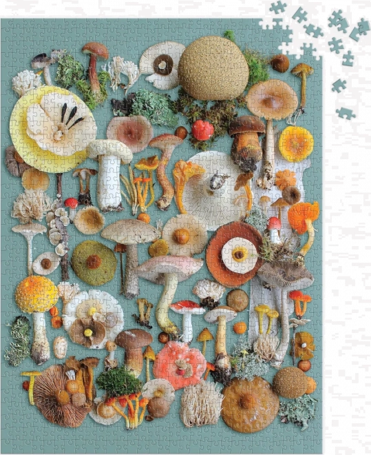 Galison puzzle Sklizeň 1000 dielikov