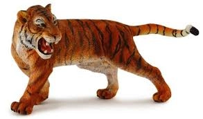 Amurský tiger