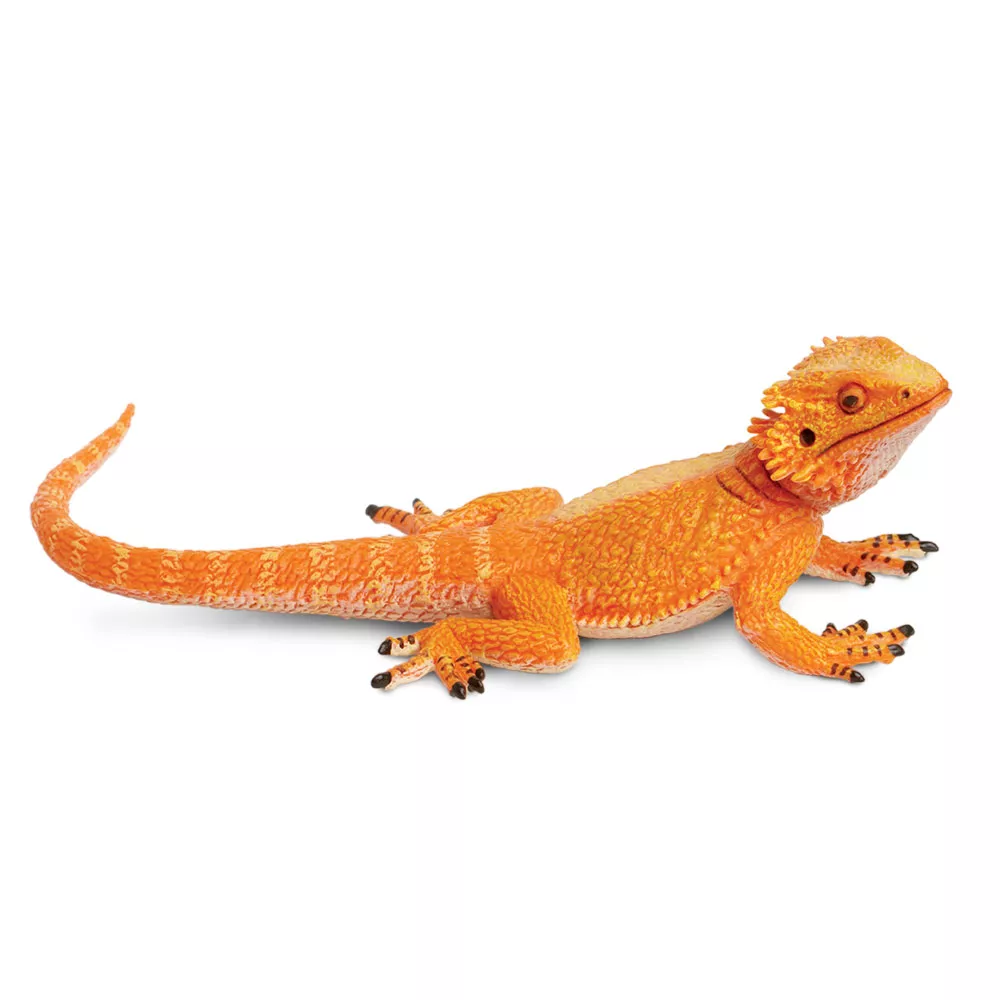 Figúrka agamy bradatej Safari Ltd.