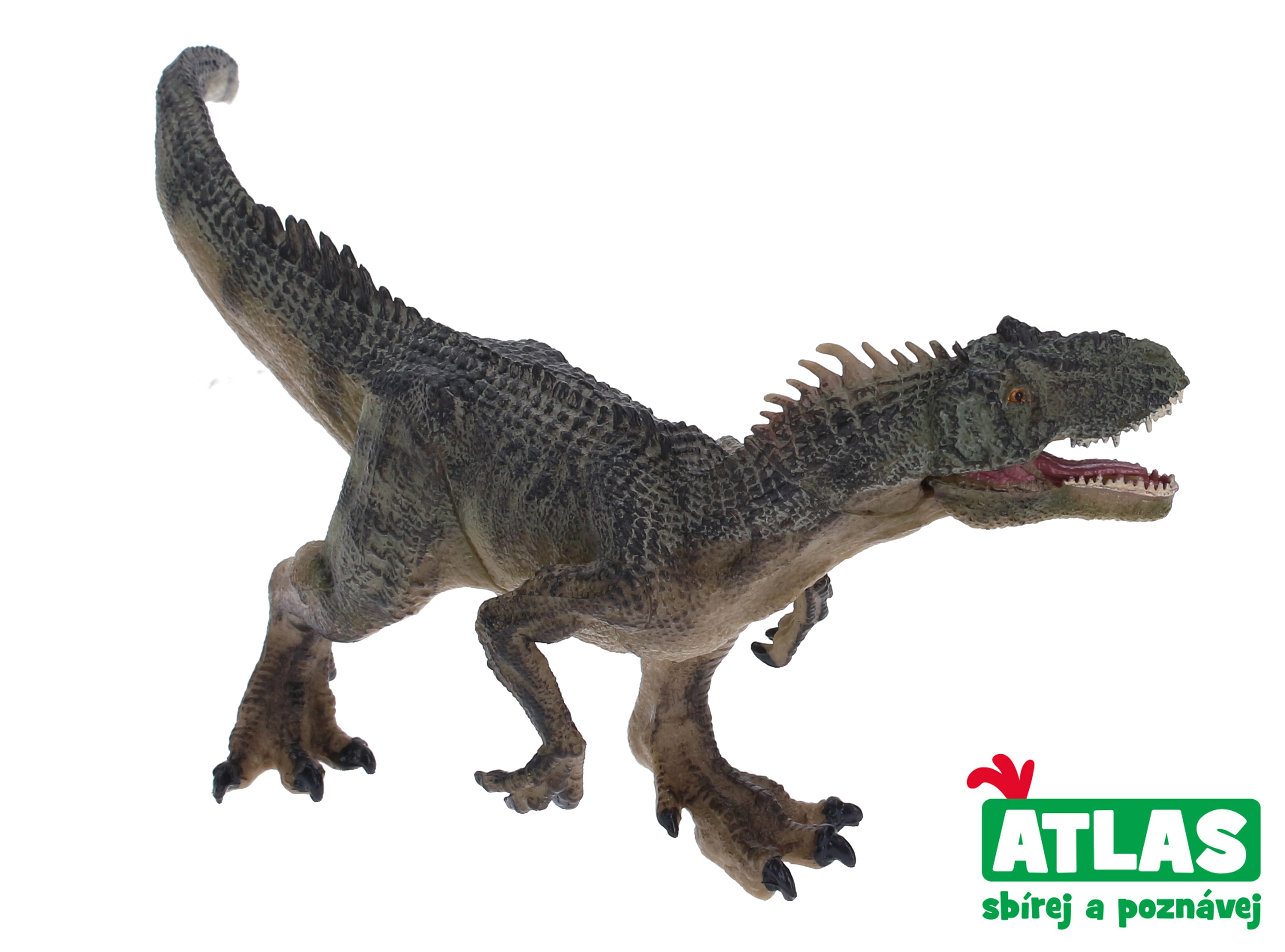 E-shop Atlas F Torvosaurus 24 cm