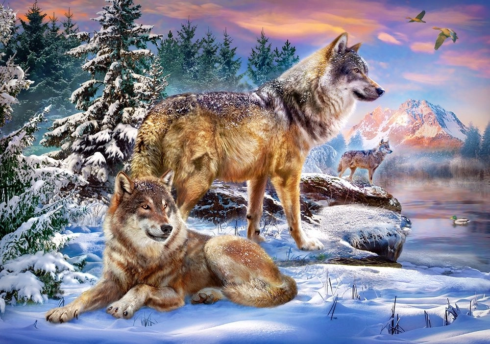 E-shop Castorland Wolfish Wonderland 500 dielov