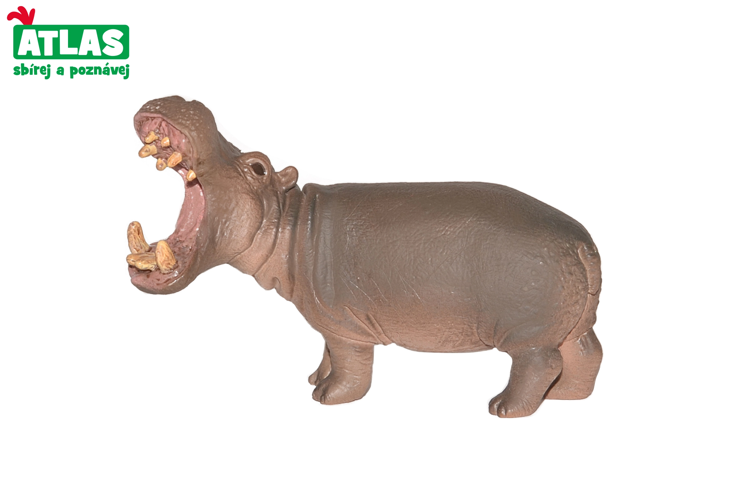 E-shop Atlas B Hroch 10cm