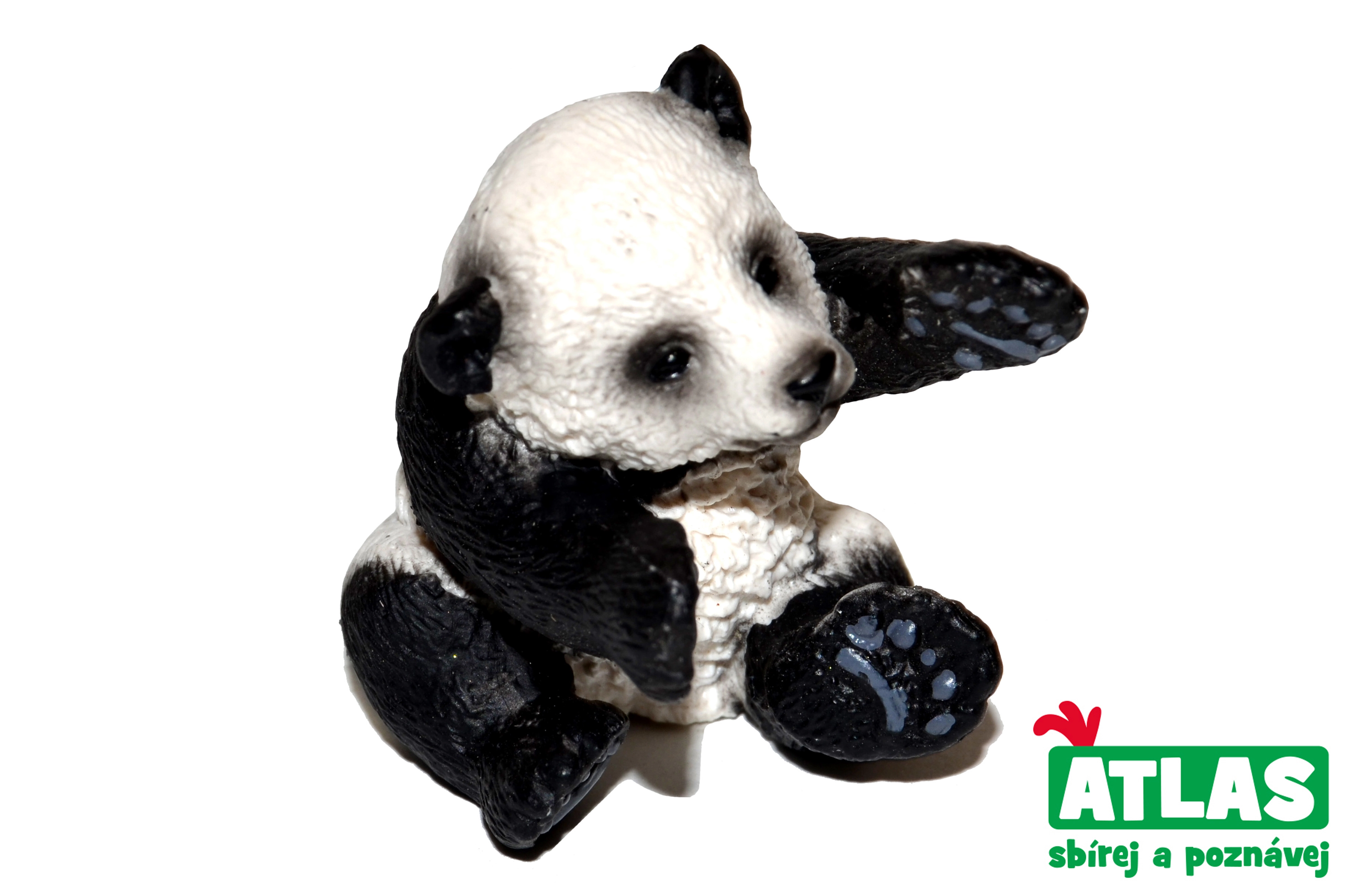 E-shop Atlas A Pandí mládě 4,5 cm
