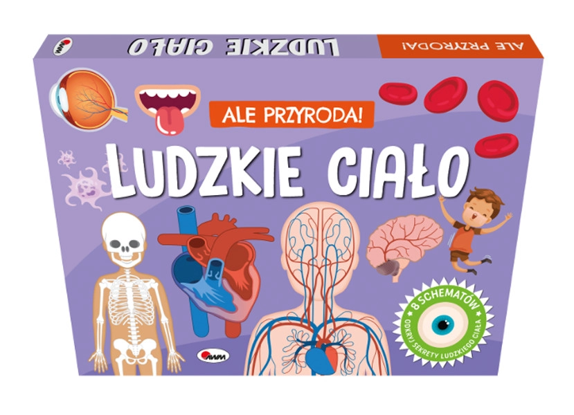 E-shop Ale příroda! Ľudské telo – priestorová kniha s okienkami