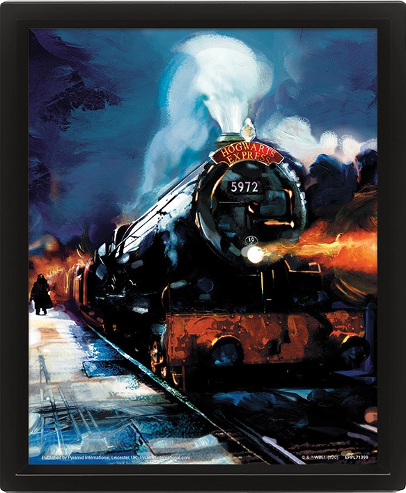 E-shop Pyramid International 3D obraz Harry Potter Rokfortský expres