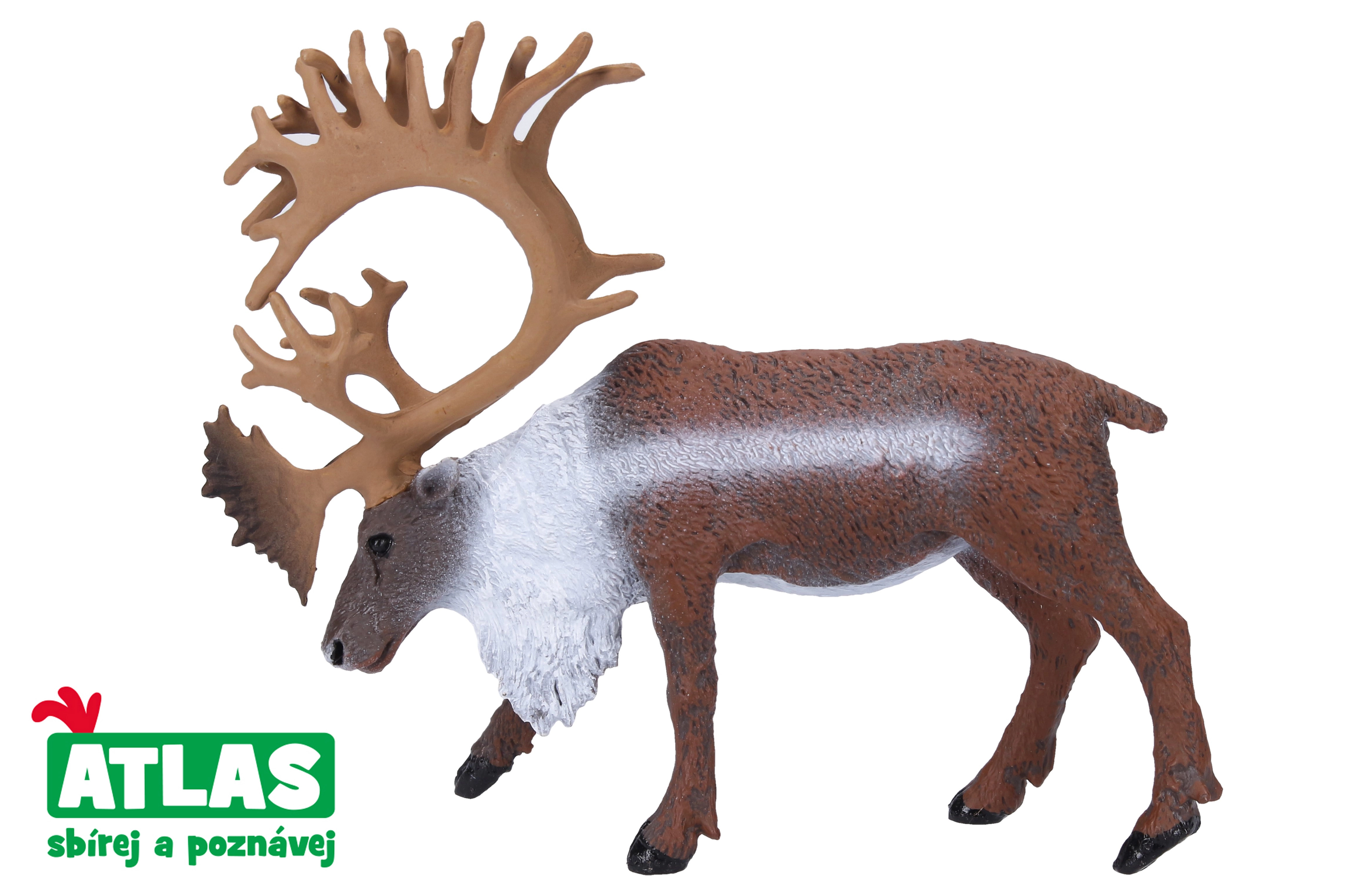 E-shop Atlas B Sob 12 cm