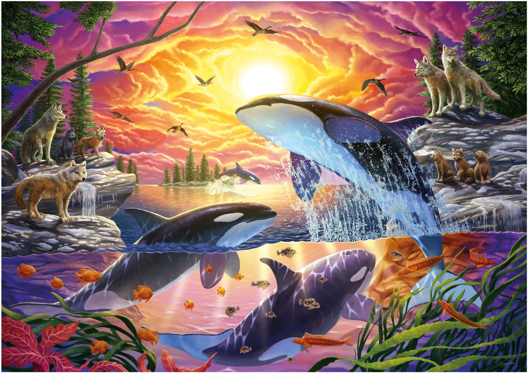 Puzzle Kosatky a Vlci 4000 dílků