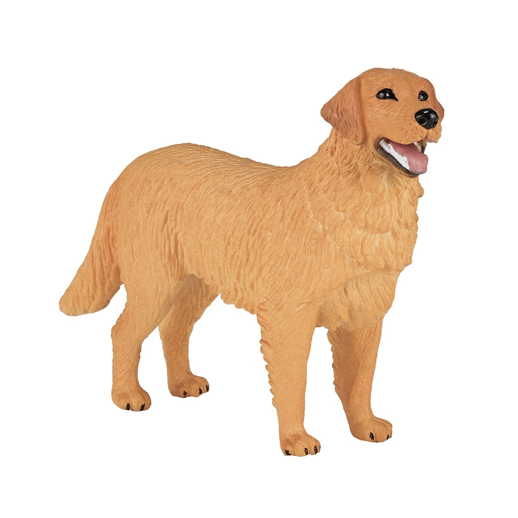E-shop Animal Planet Zlatý retriever
