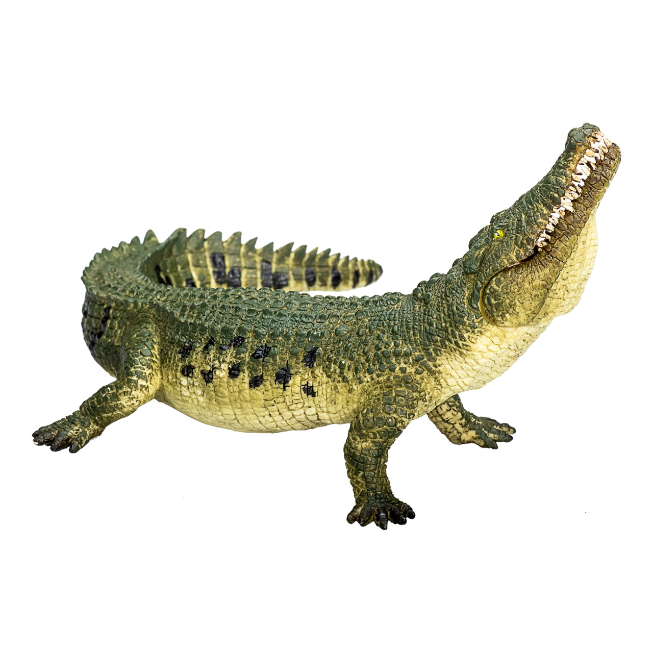 Realistický Krokodíl s Pohyblivou Čeľusťou