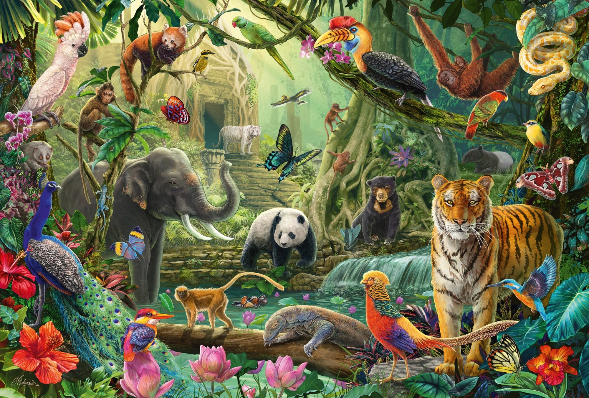 Puzzle pestrá džungle 100 dielikov