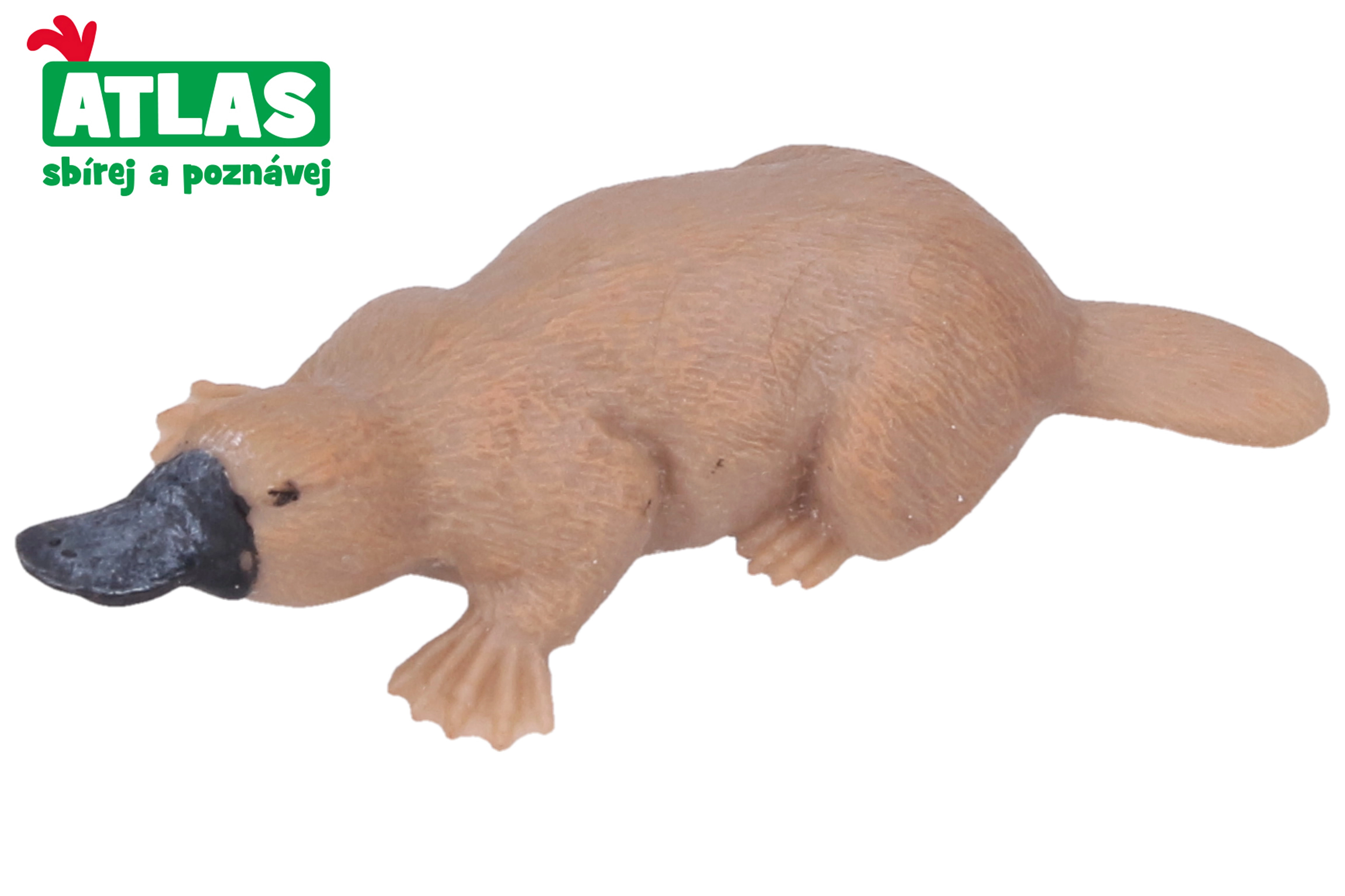 E-shop Atlas A Ptakopysk 8 cm
